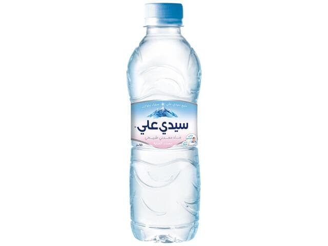 Sidi Ali